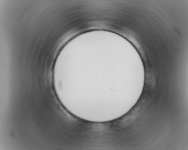 X0000113200807200909171512