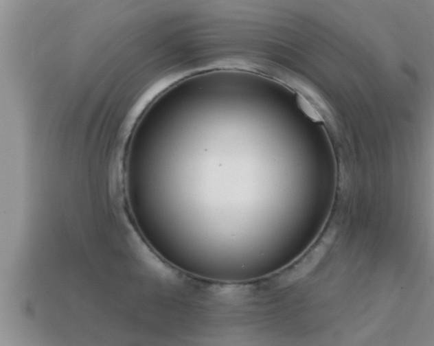 X0000113200808200909171512