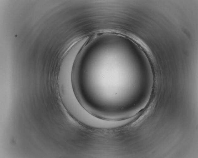 X0000113200809200909171512