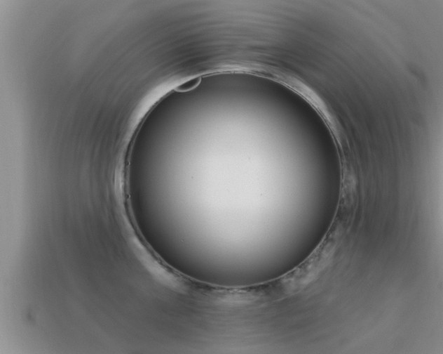 X0000113200811200909171512