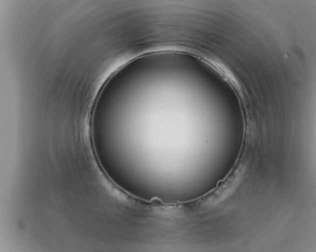 X0000113200813200909171512