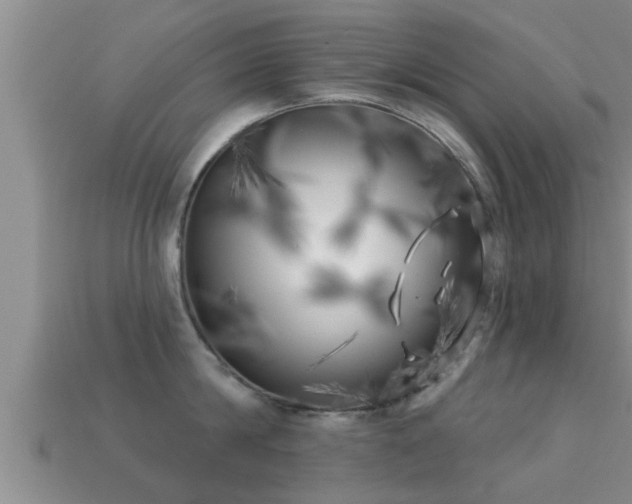 X0000113200814200909171512