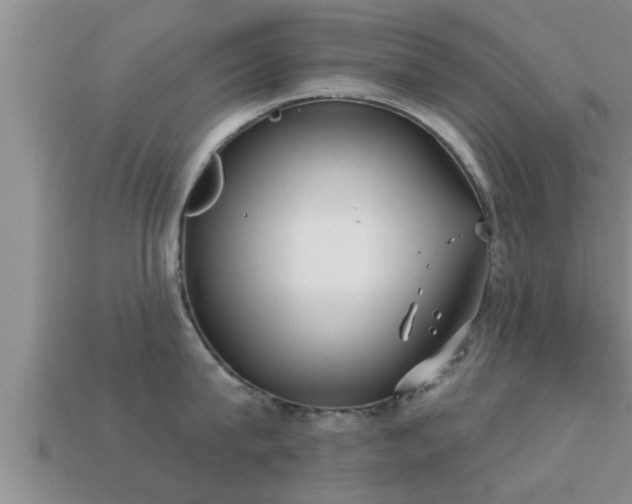 X0000113200815200909171512