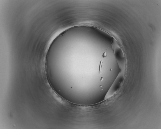 X0000113200816200909171512