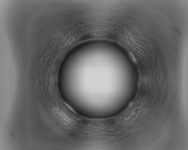 X0000113200817200909171512