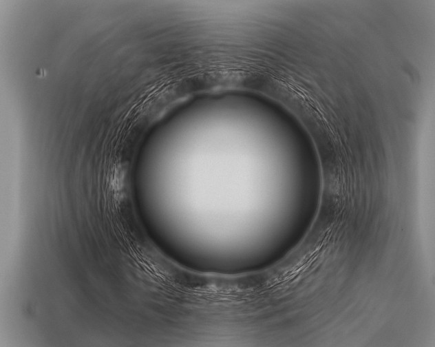 X0000113200818200909171512