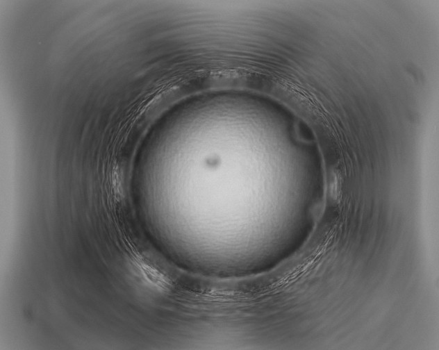 X0000113200819200909171512