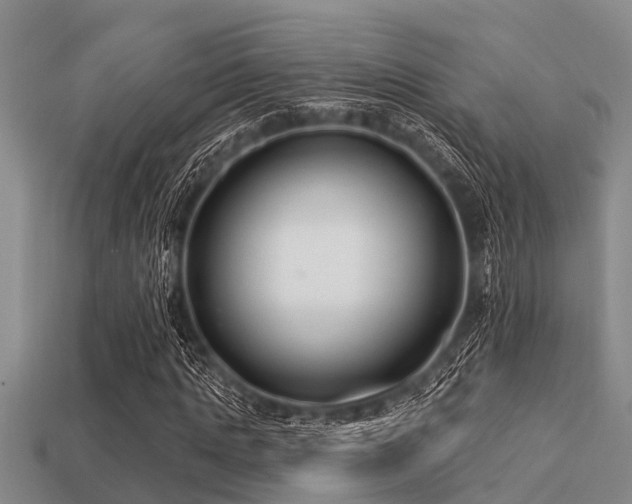 X0000113200821200909171512