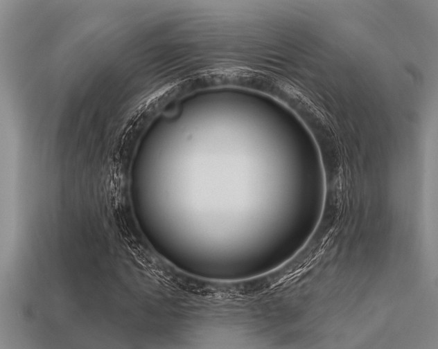 X0000113200822200909171512