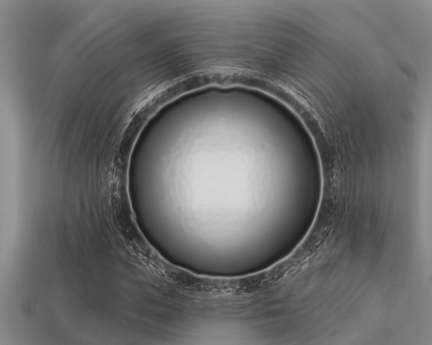 X0000113200823200909171512