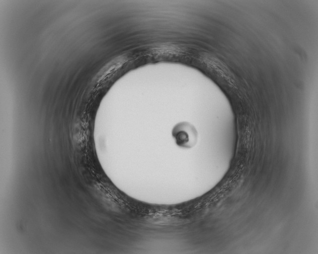 X0000113200824200909171512