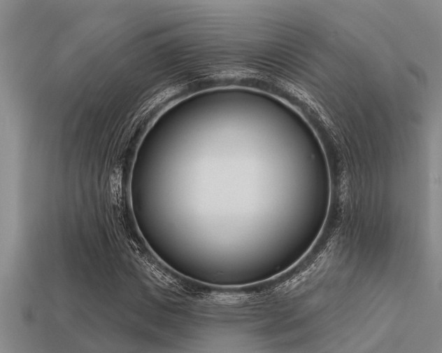 X0000113200825200909171512