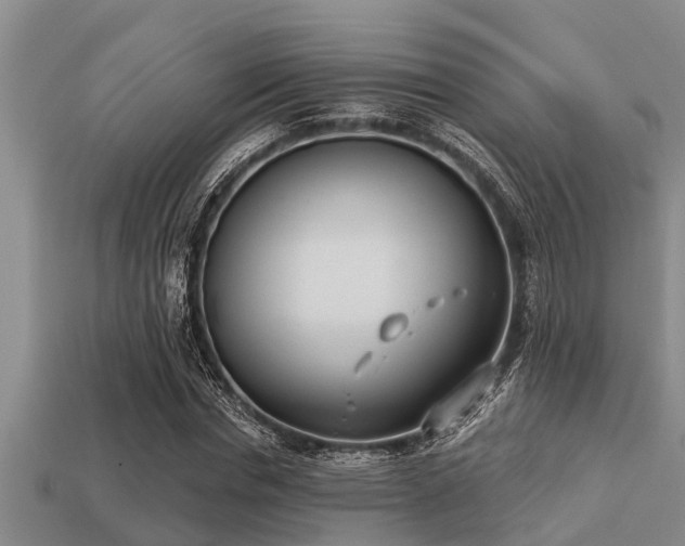 X0000113200826200909171512