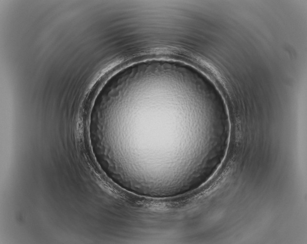 X0000113200827200909171512