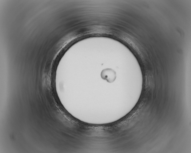 X0000113200828200909171512