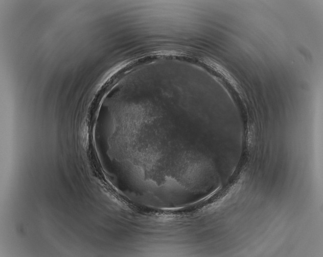 X0000113200829200909171512