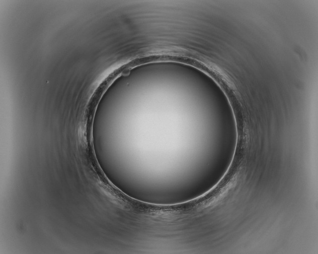 X0000113200830200909171512