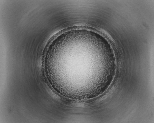 X0000113200831200909171512