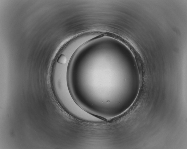 X0000113200832200909171512