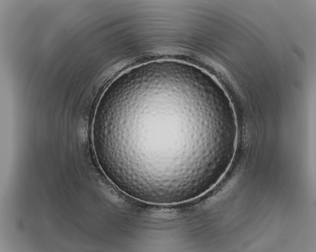 X0000113200833200909171512