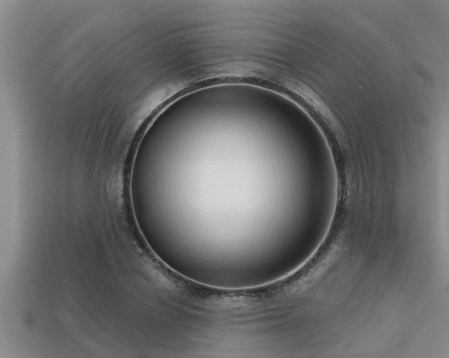 X0000113200834200909171512