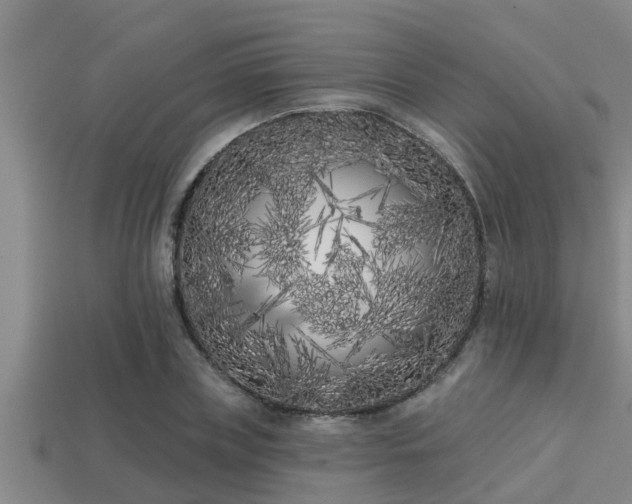 X0000113200835200909171512
