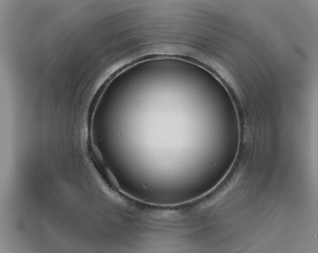 X0000113200837200909171512