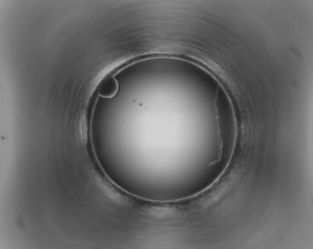 X0000113200838200909171512