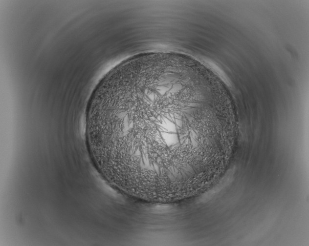 X0000113200839200909171512