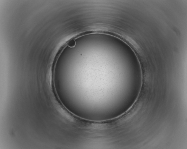 X0000113200840200909171512