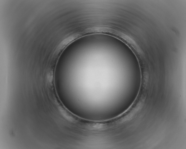 X0000113200841200909171512