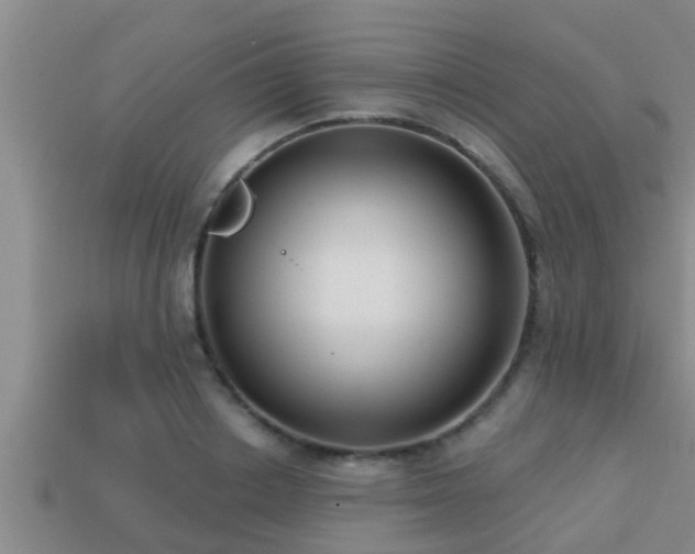 X0000113200842200909171512