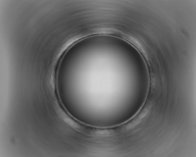 X0000113200843200909171512