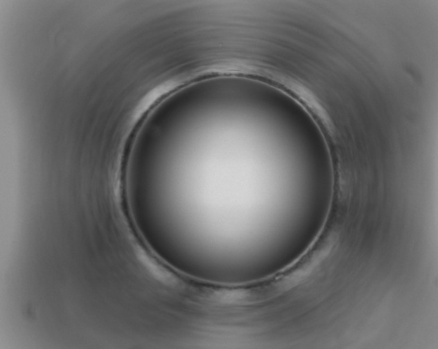 X0000113200845200909171512