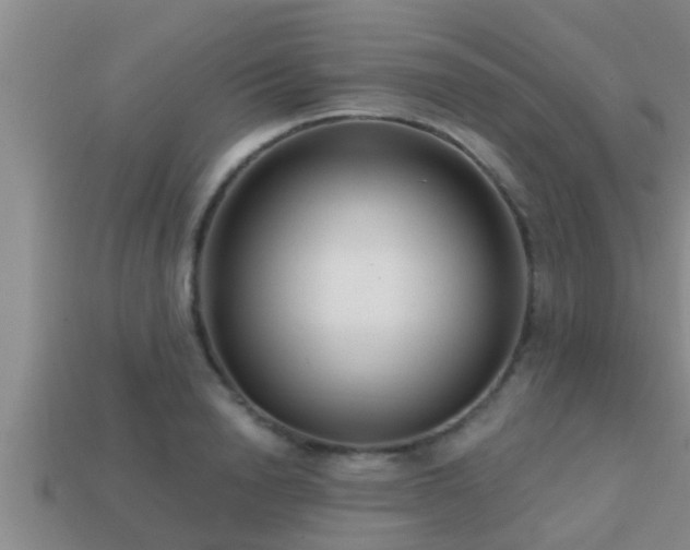 X0000113200846200909171512