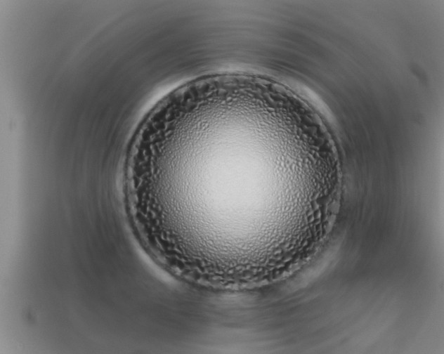 X0000113200847200909171512