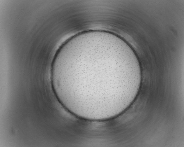 X0000113200848200909171512