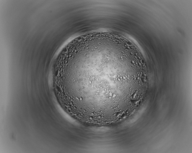 X0000113200851200909171512