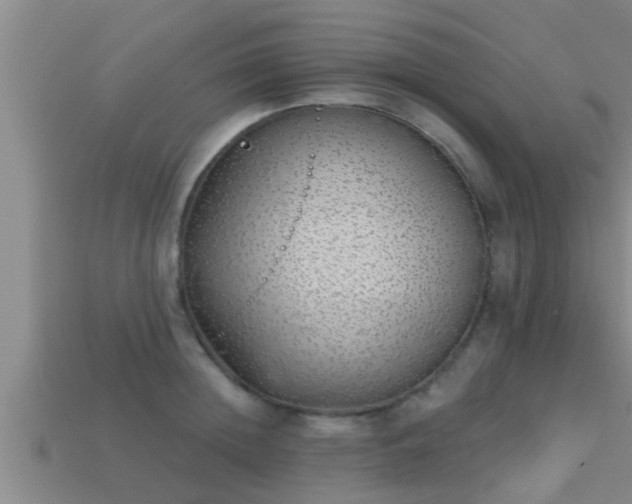 X0000113200852200909171512