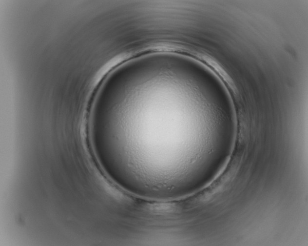 X0000113200853200909171512