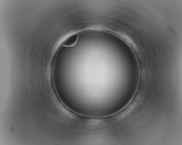 X0000113200854200909171512