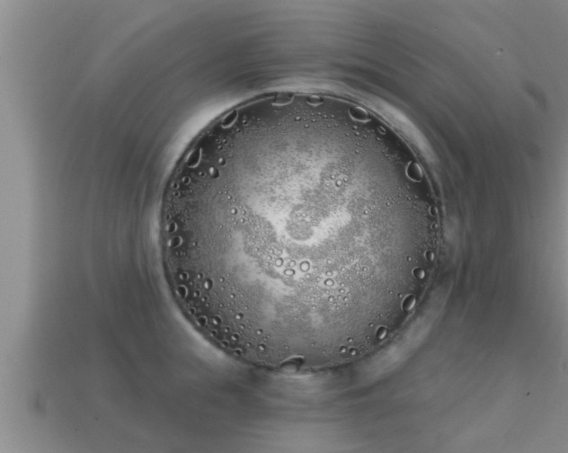 X0000113200855200909171512