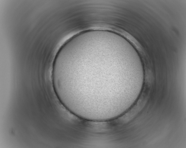 X0000113200856200909171512