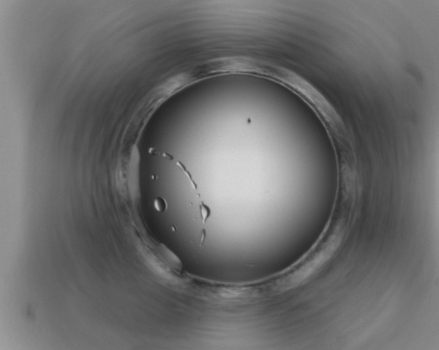 X0000113200857200909171512