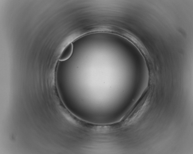 X0000113200858200909171512