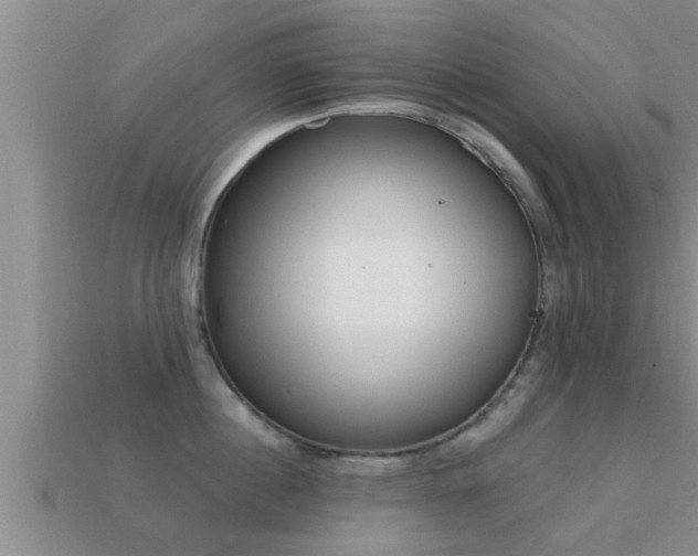 X0000113200860200909171512