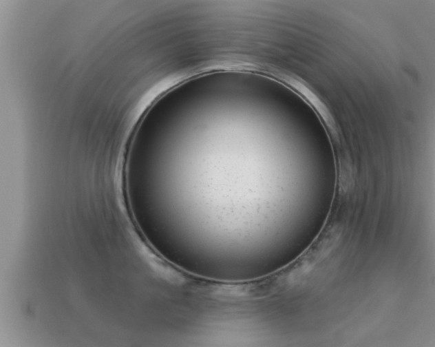 X0000113200861200909171512