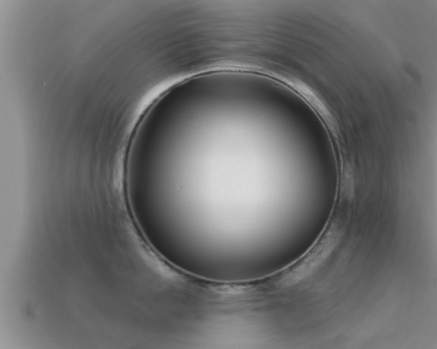 X0000113200862200909171512