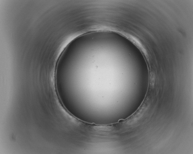 X0000113200863200909171512