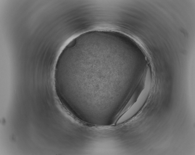 X0000113200864200909171512